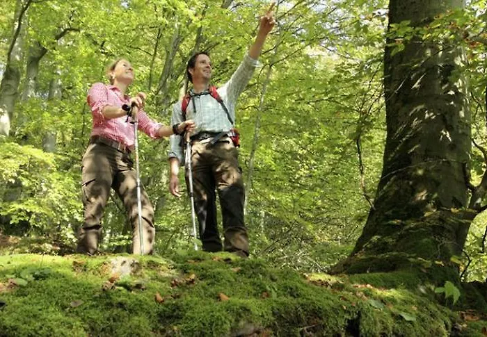 Waldhaus Ohlenbach Schmallenberg