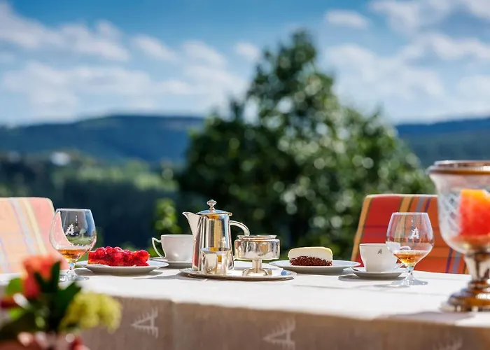 Waldhaus Ohlenbach Hotell 4*